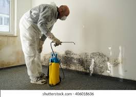 Portola Valley, CA Mold Remediation Company